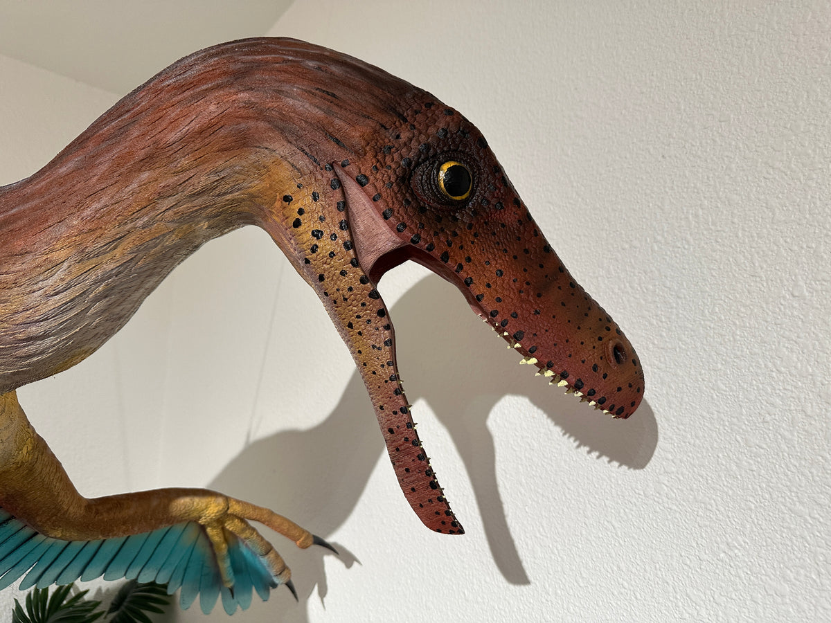 Dinéobellator leaping