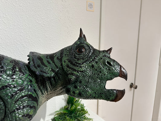 Ojoceratops pup