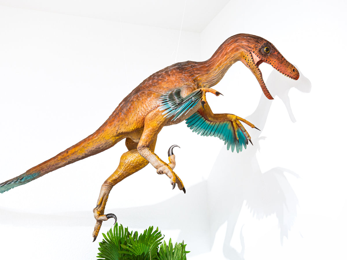 Dinéobellator leaping