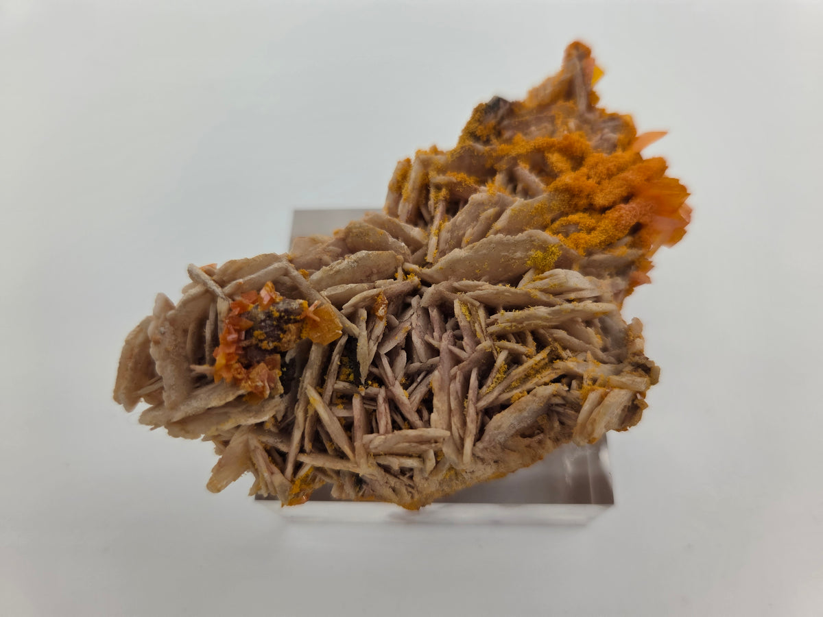 Wulfenite with Mimetite on Barite