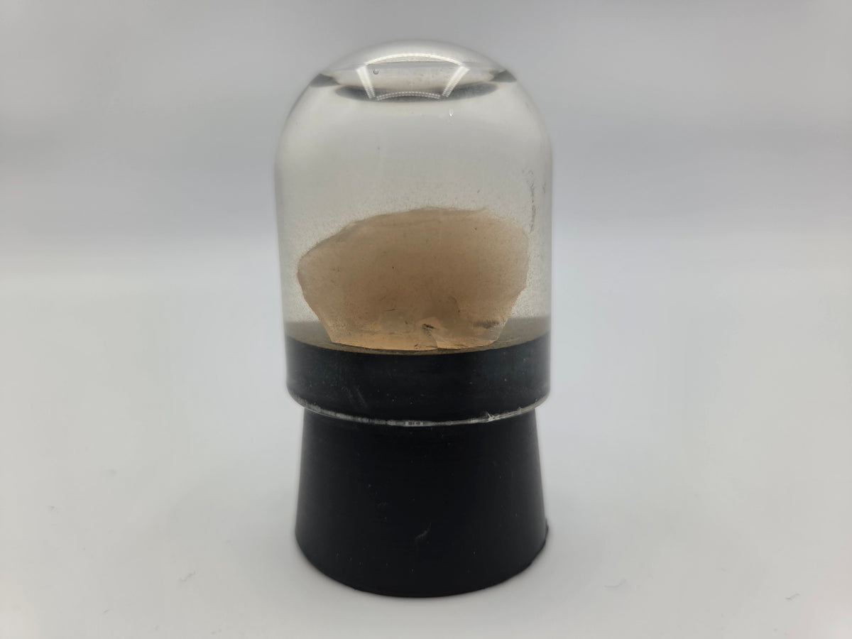 Opalized Wood (Copy 5)
