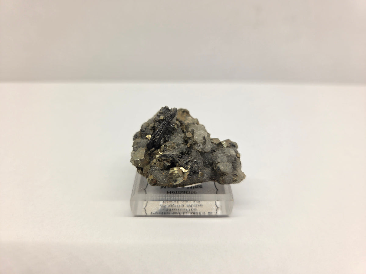 Pyrite with Quartz