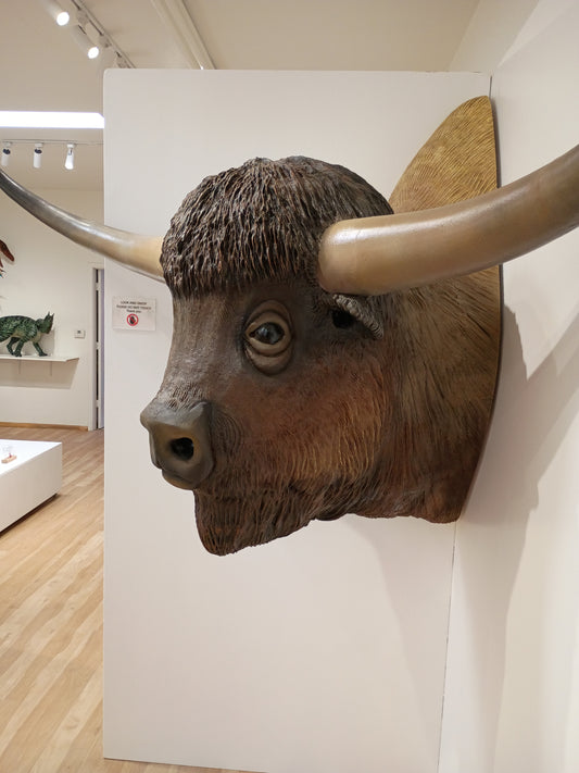 Bison latifrons bust
