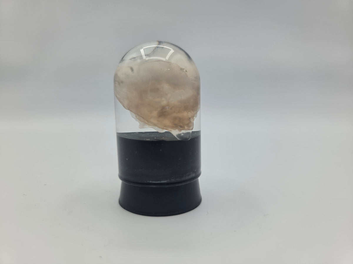 Opalized Wood (Copy)