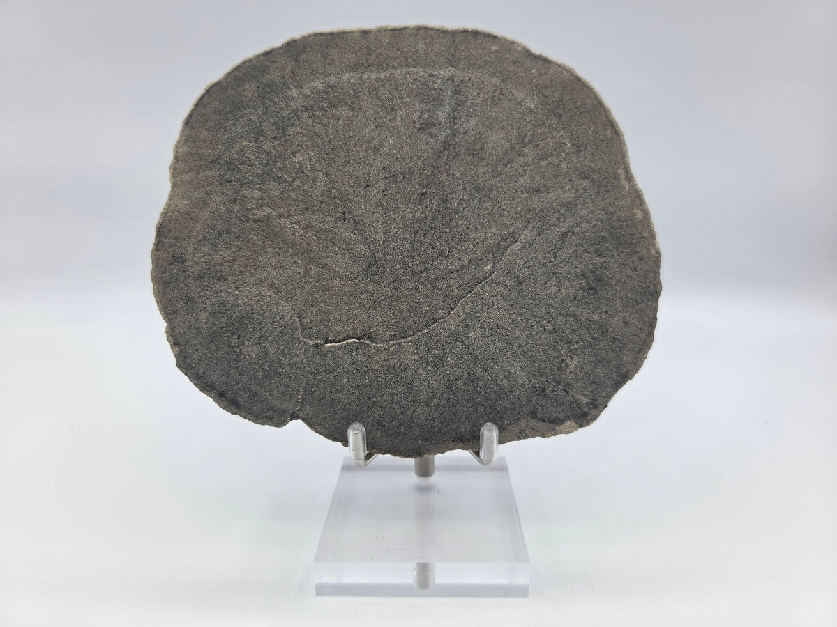 Pyrite Sundisk