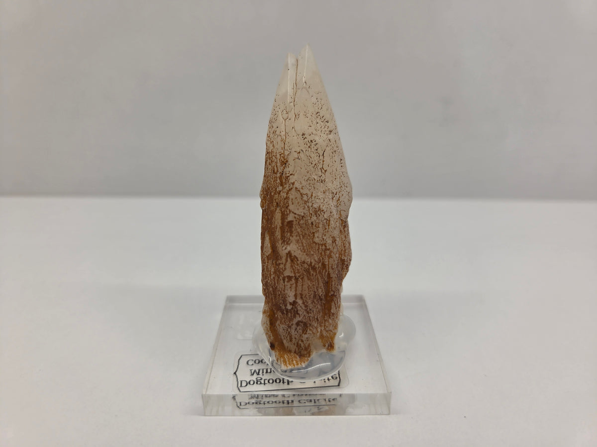 Dogtooth Calcite