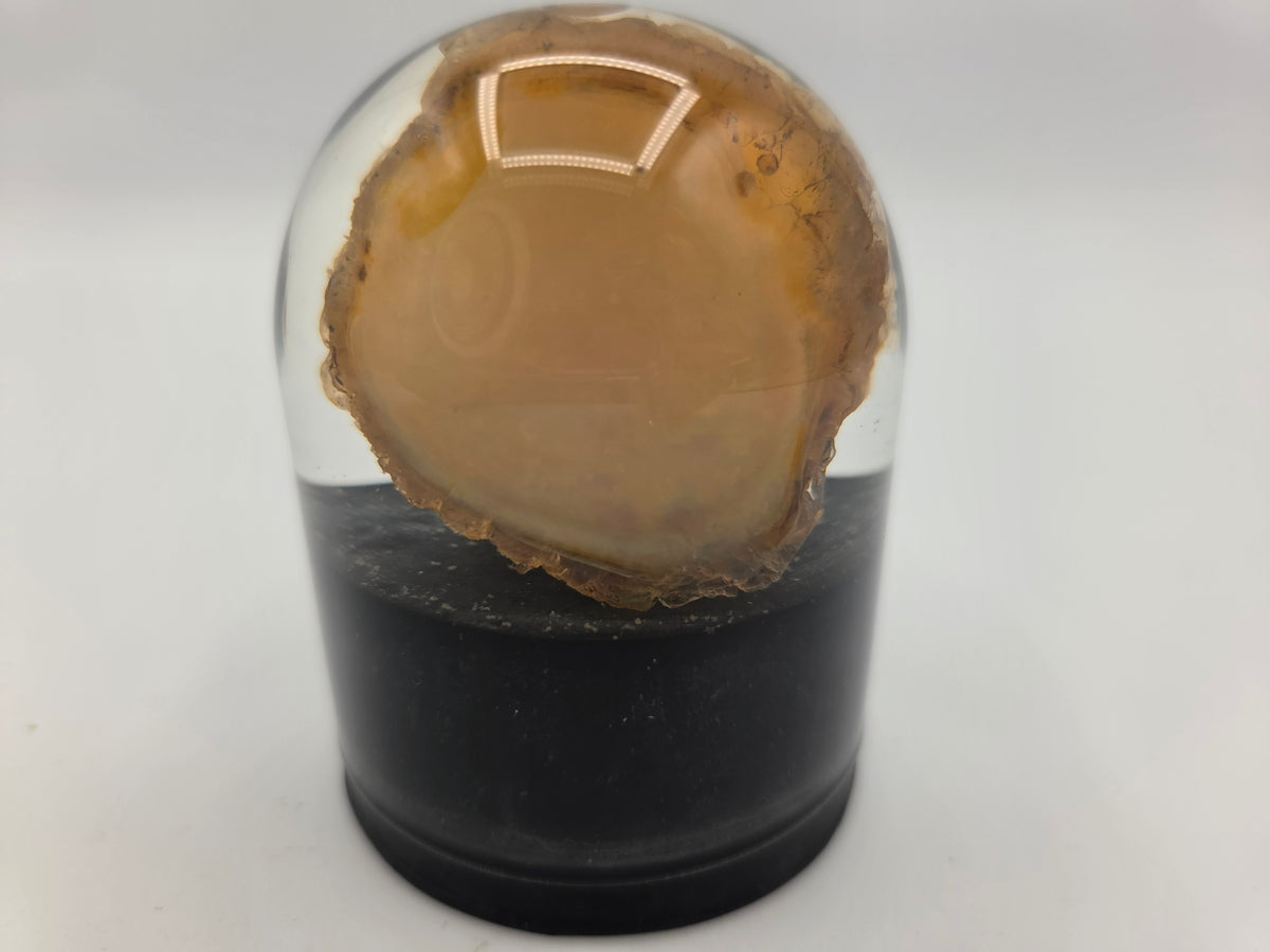 Opalized Wood (Copy 3)