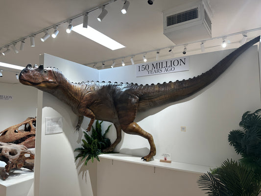 Ceratorsaurus