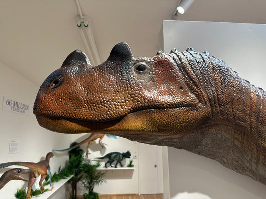 Ceratorsaurus