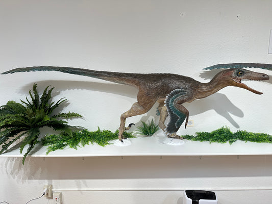 Dinéobellator hunting