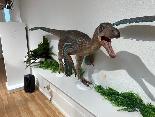 Dinéobellator hunting