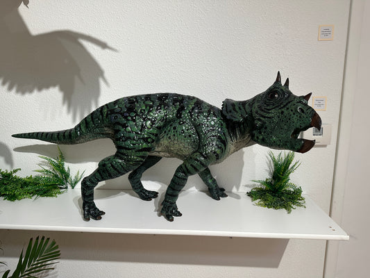 Ojoceratops pup
