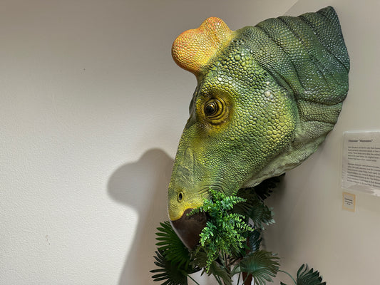 Edmontosaurus bust sculpture