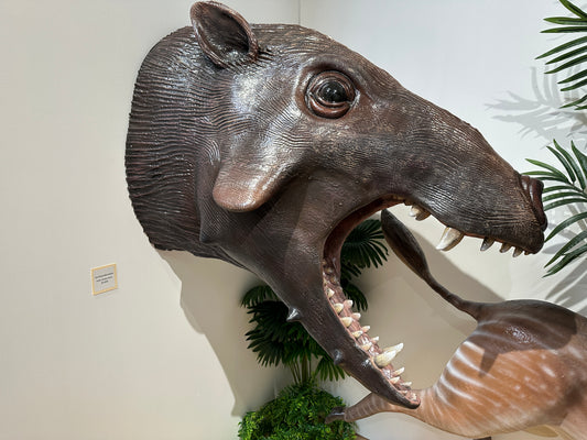 Archaeotherium bust