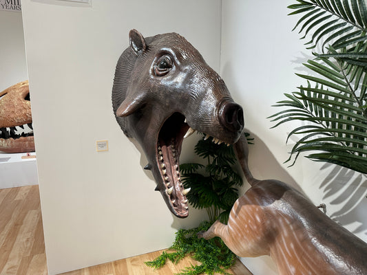 Archaeotherium bust
