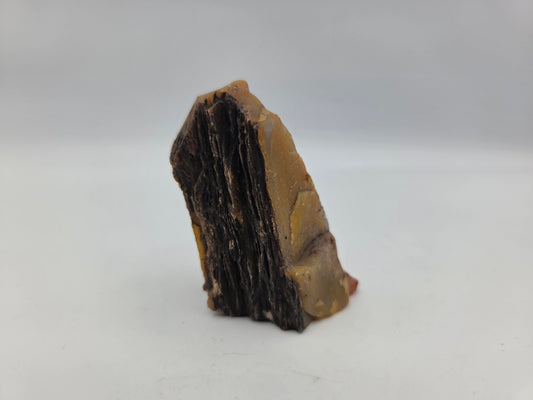 Petrified Wood