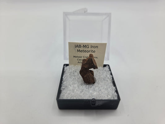 Meteorite