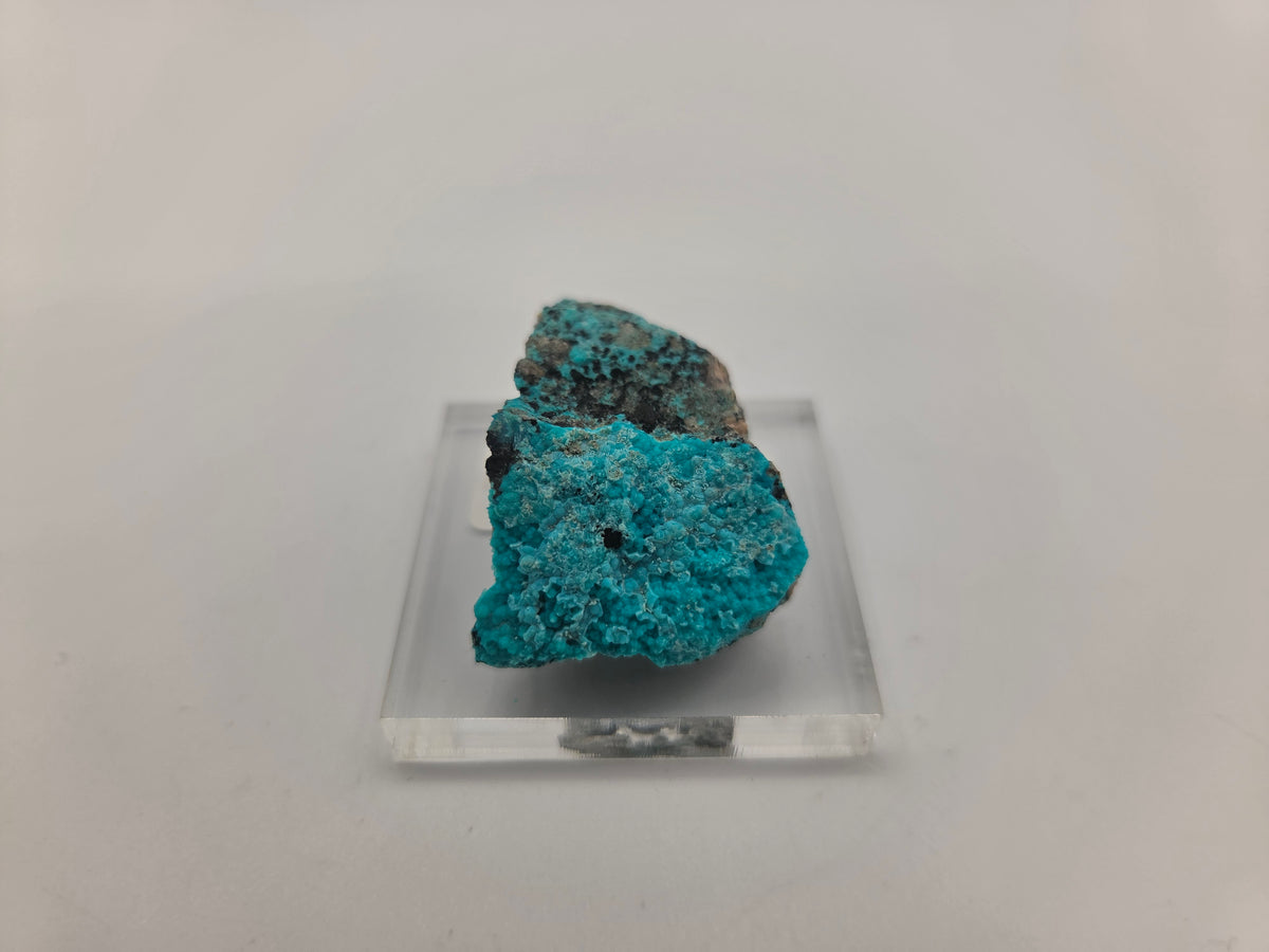 Chrysocolla (Copy 7)