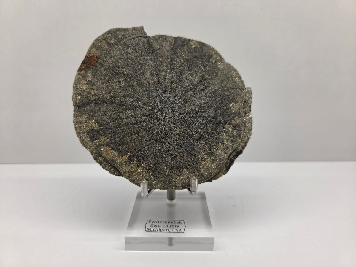Pyrite Sundisk