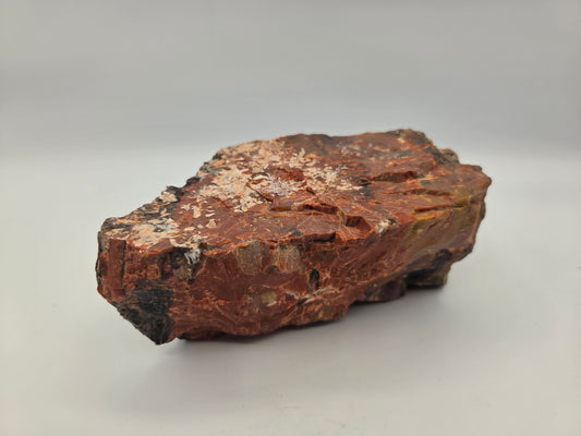 Petrified Wood (Copy)