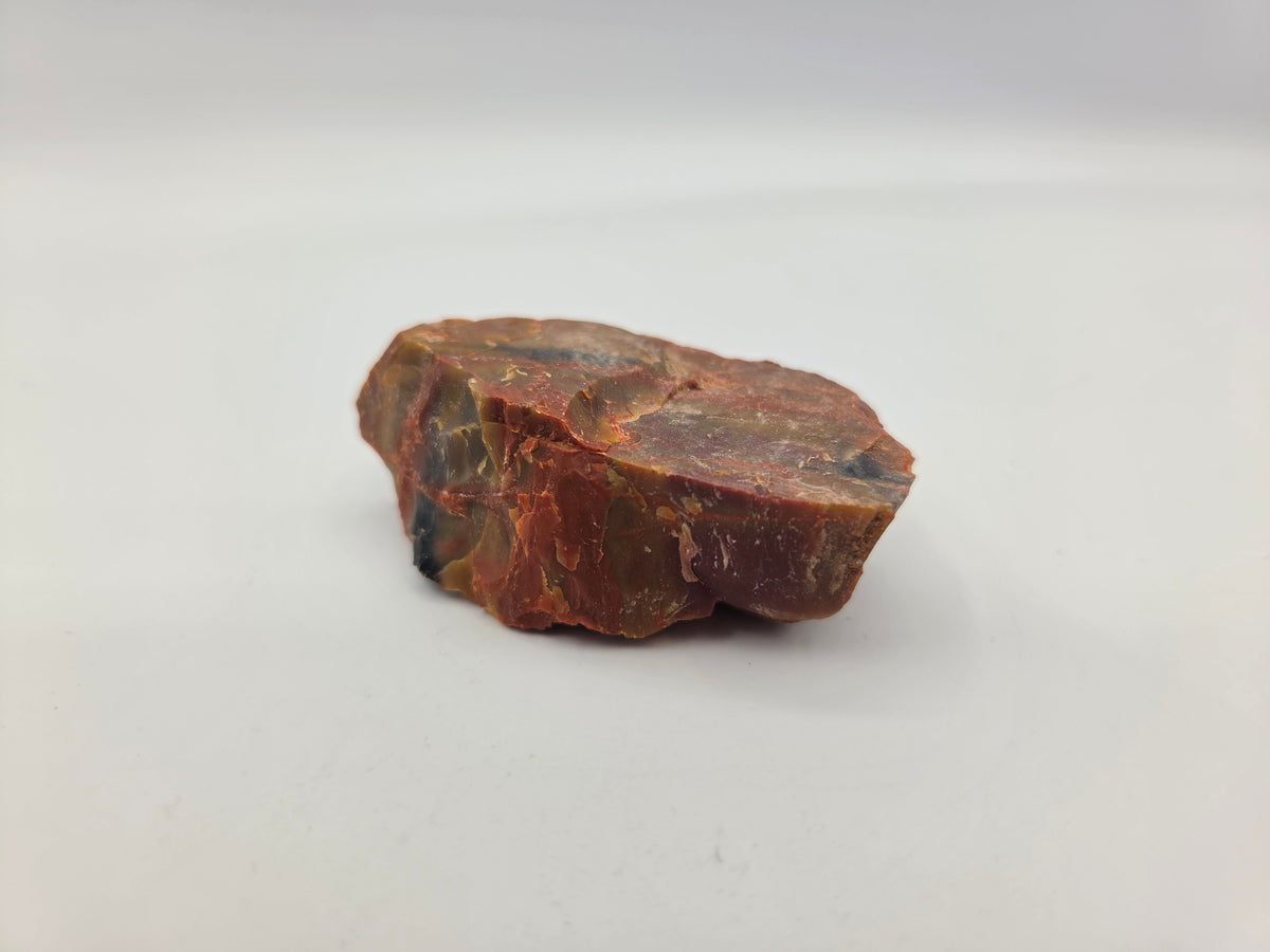 Petrified Wood
