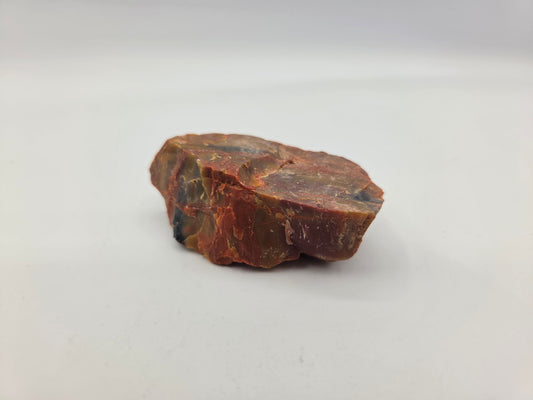 Petrified Wood