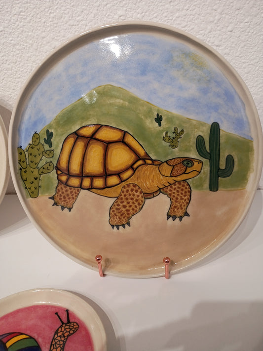 Desert Turtus (Shani Campbell)