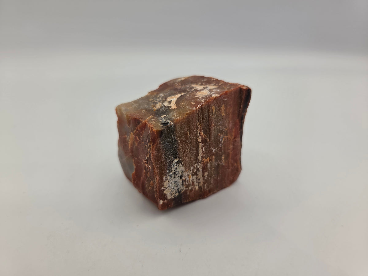 Petrified Wood