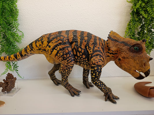 Baby Triceratops 3'
