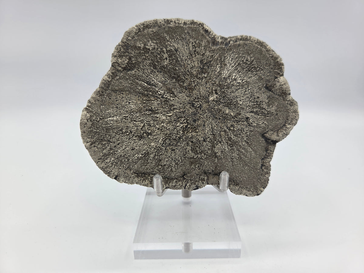 Pyrite Sundisk