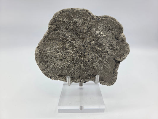 Pyrite Sundisk