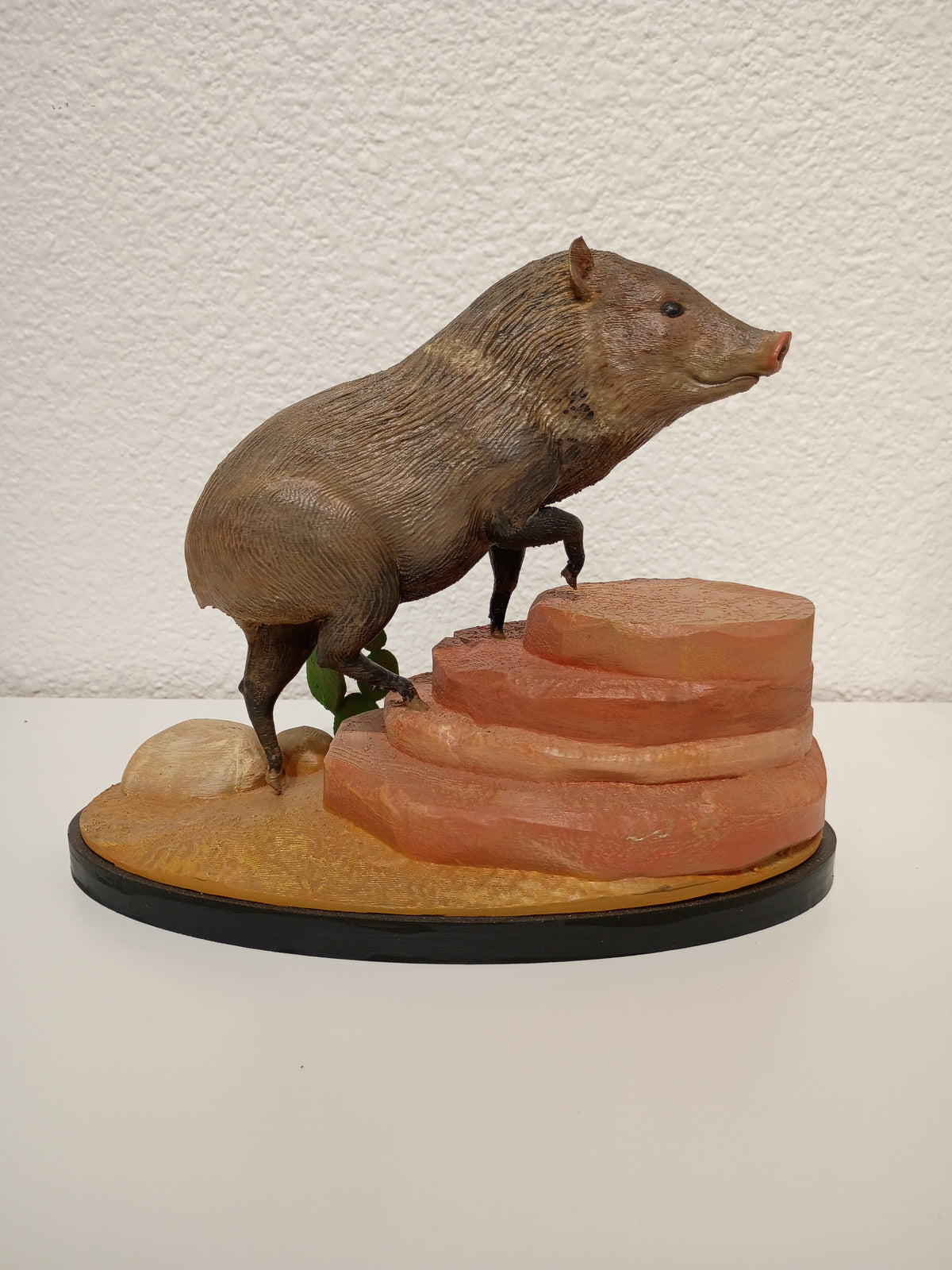 Climbing Javelina