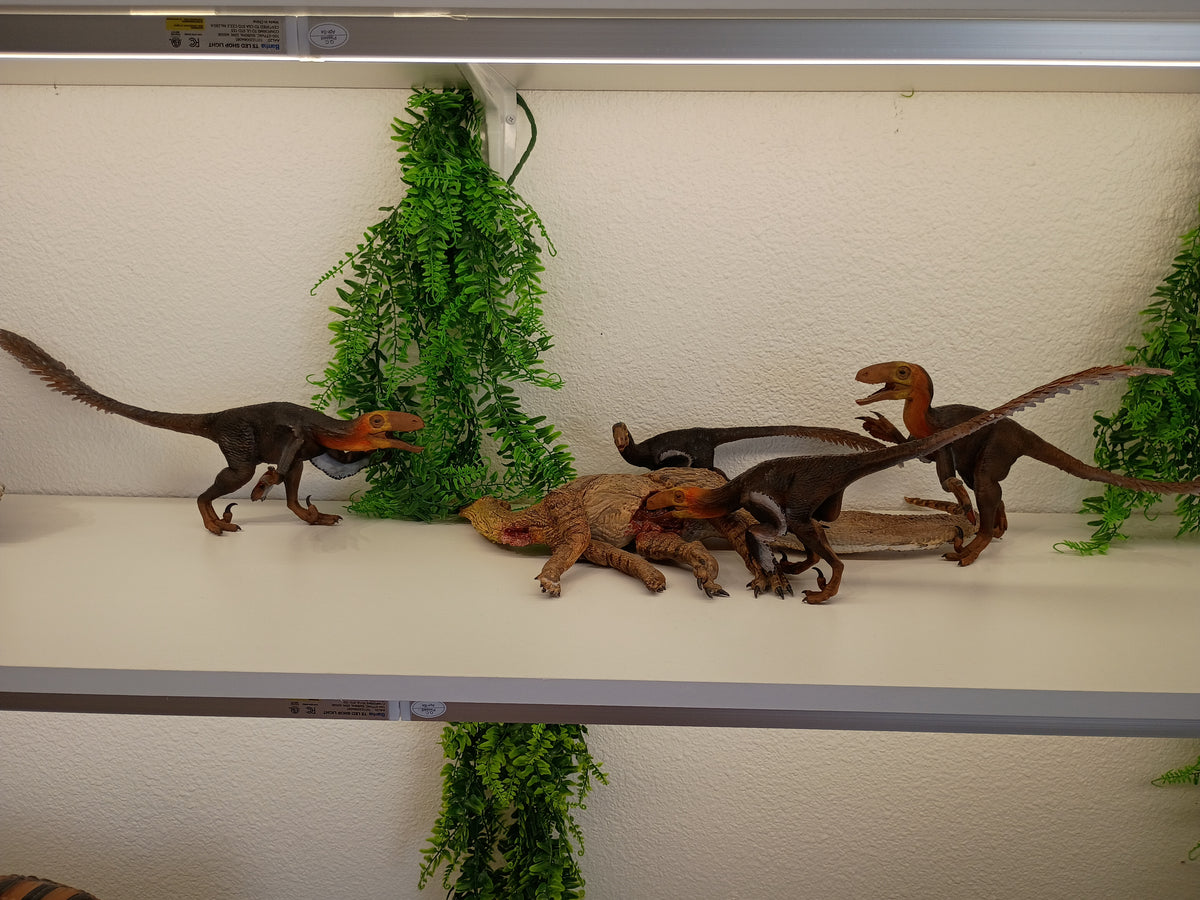 Deinonychus feeding