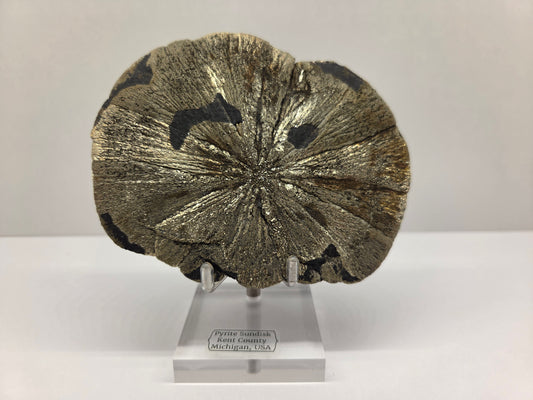 Pyrite Sundisk