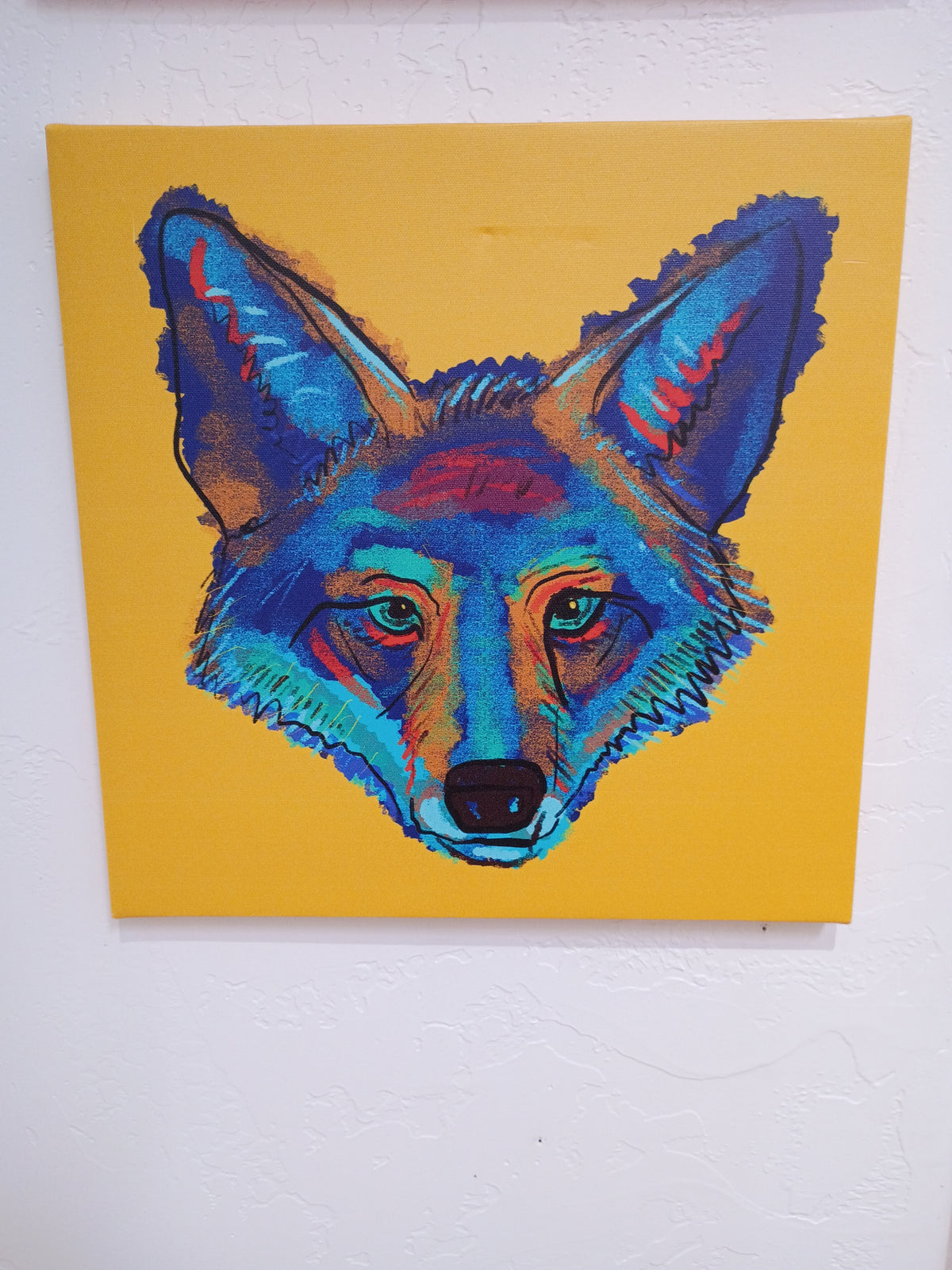 Coyote canvas print