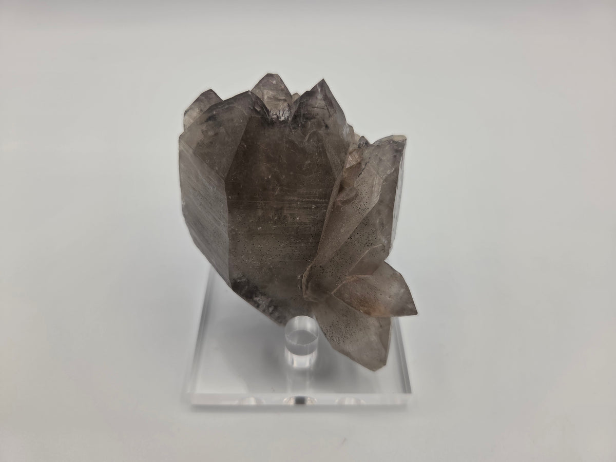 Smoky Quartz