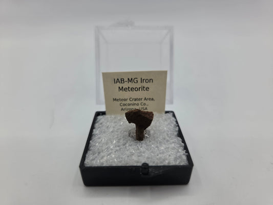 Meteorite