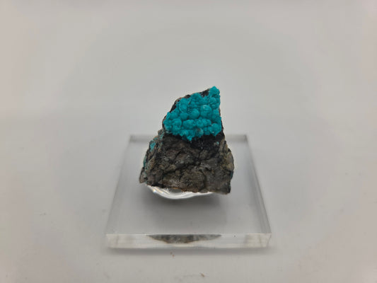 Chrysocolla (Copy 4)