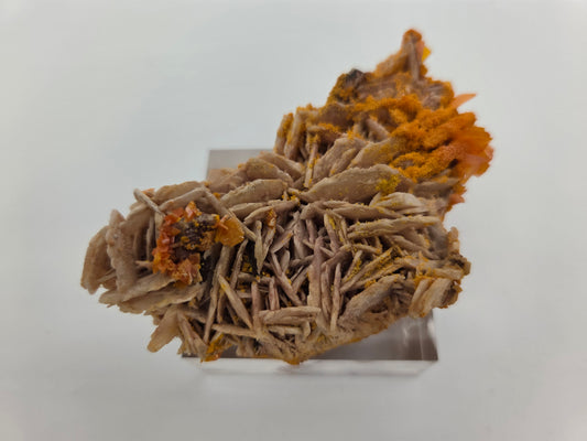 Wulfenite with Mimetite on Barite