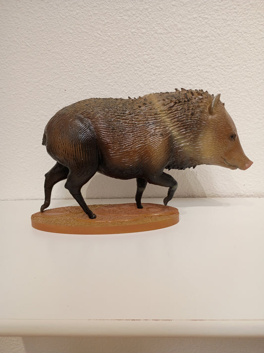 Marching Javelina 18"