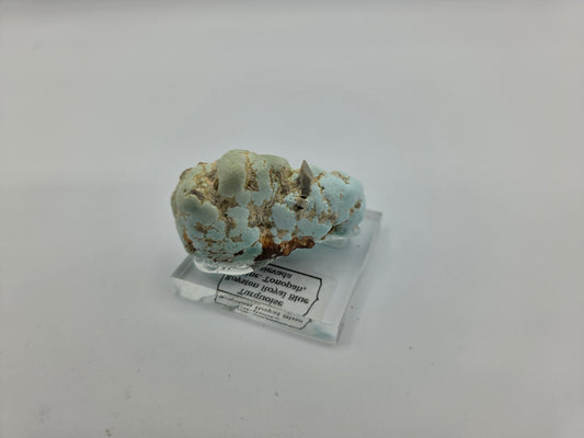 Turquoise