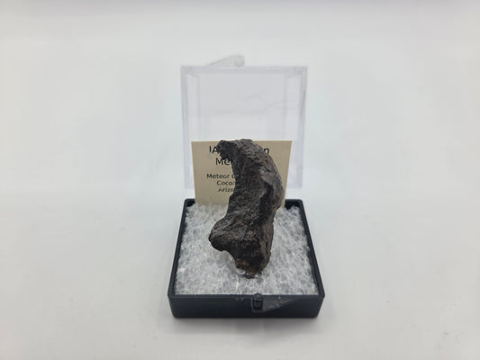 Meteorite