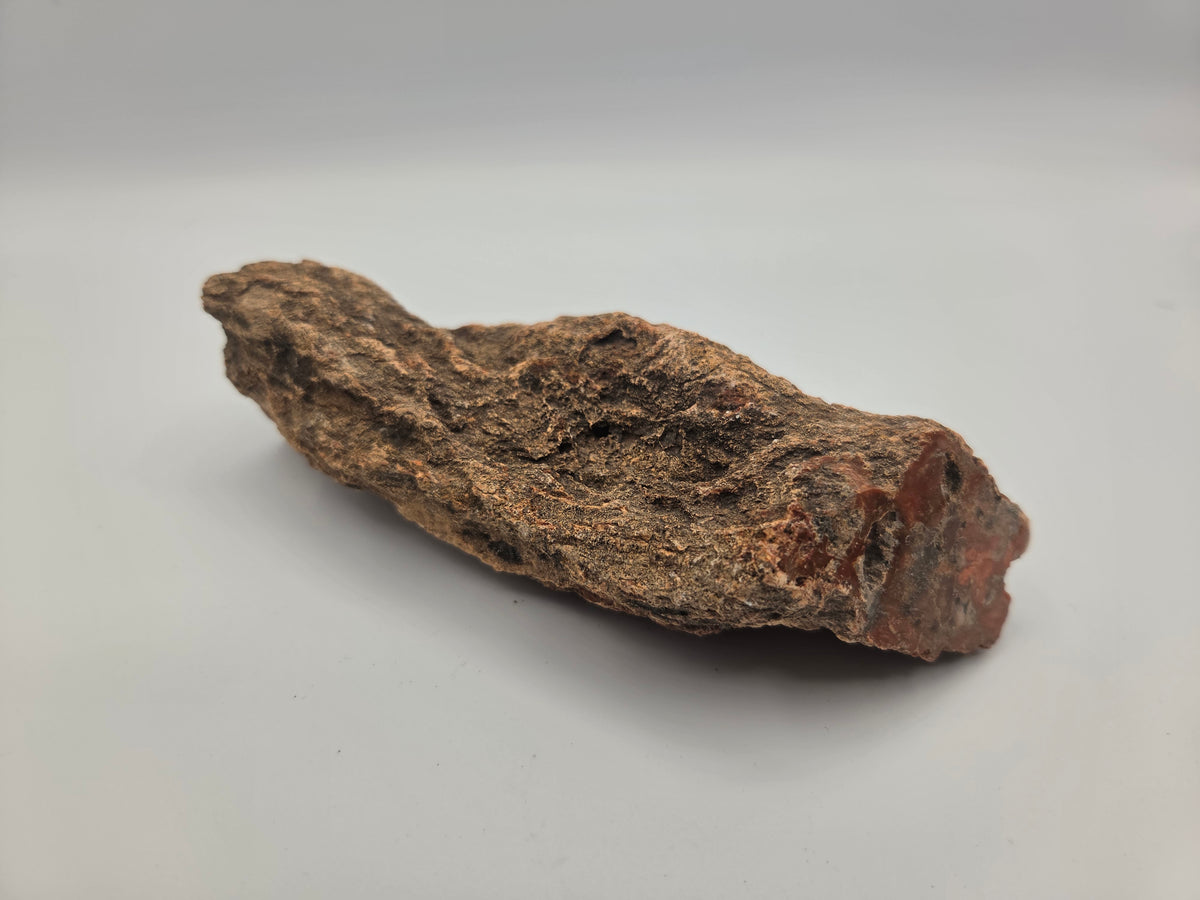 Petrified Wood
