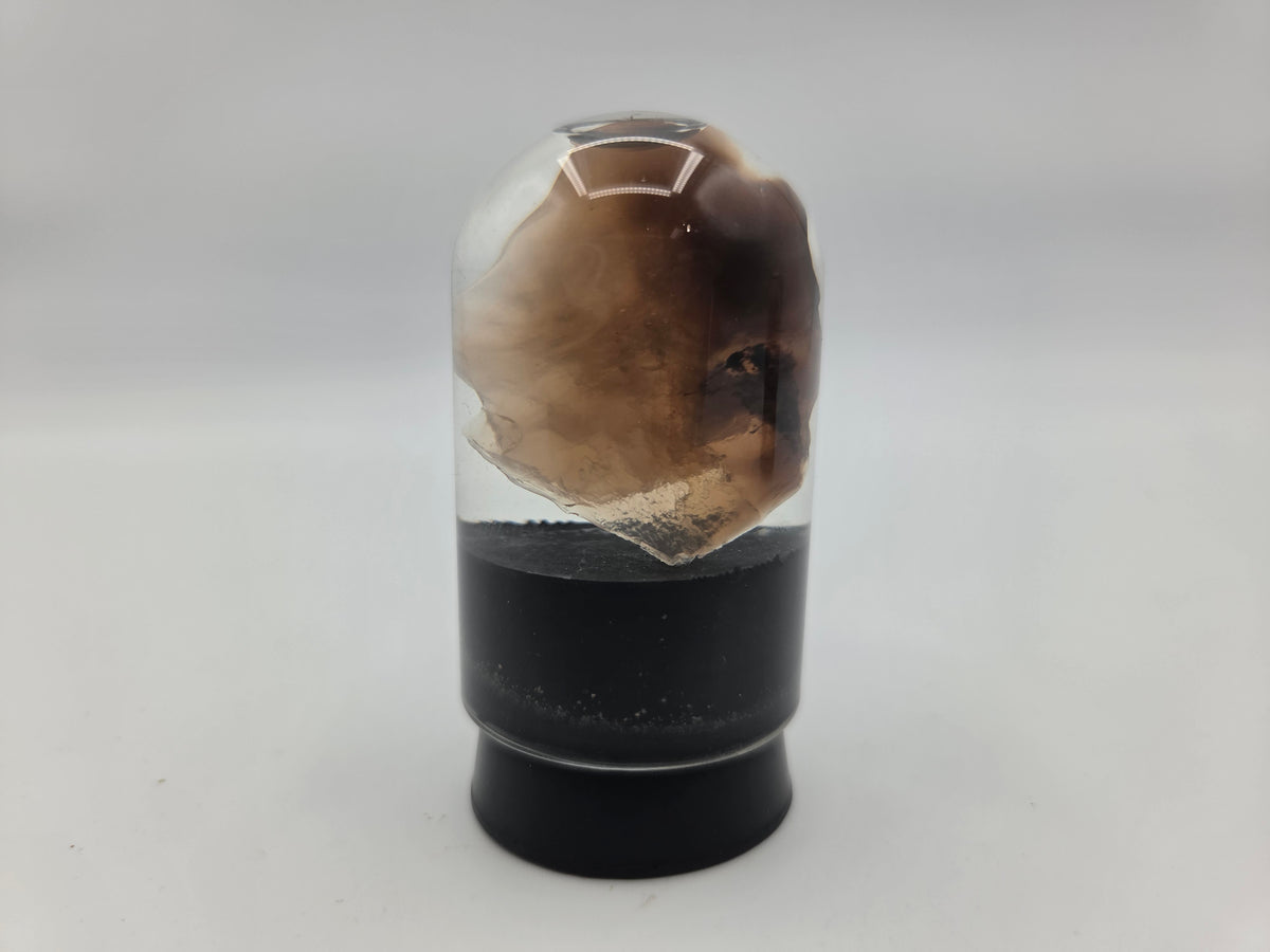 Opalized Wood (Copy 6)