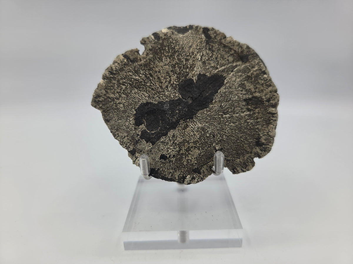 Pyrite Sundisk