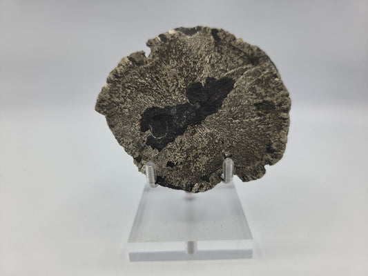 Pyrite Sundisk