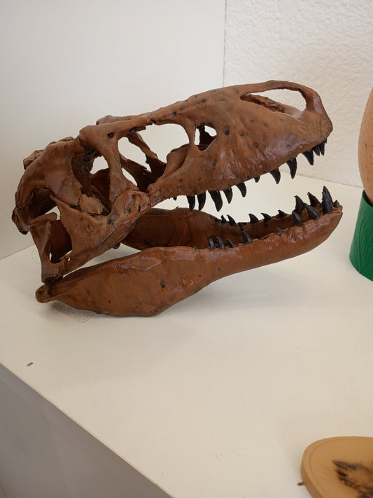 8" rex skull
