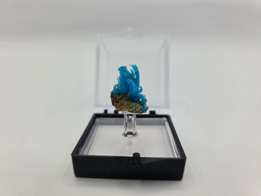 Chalcanthite