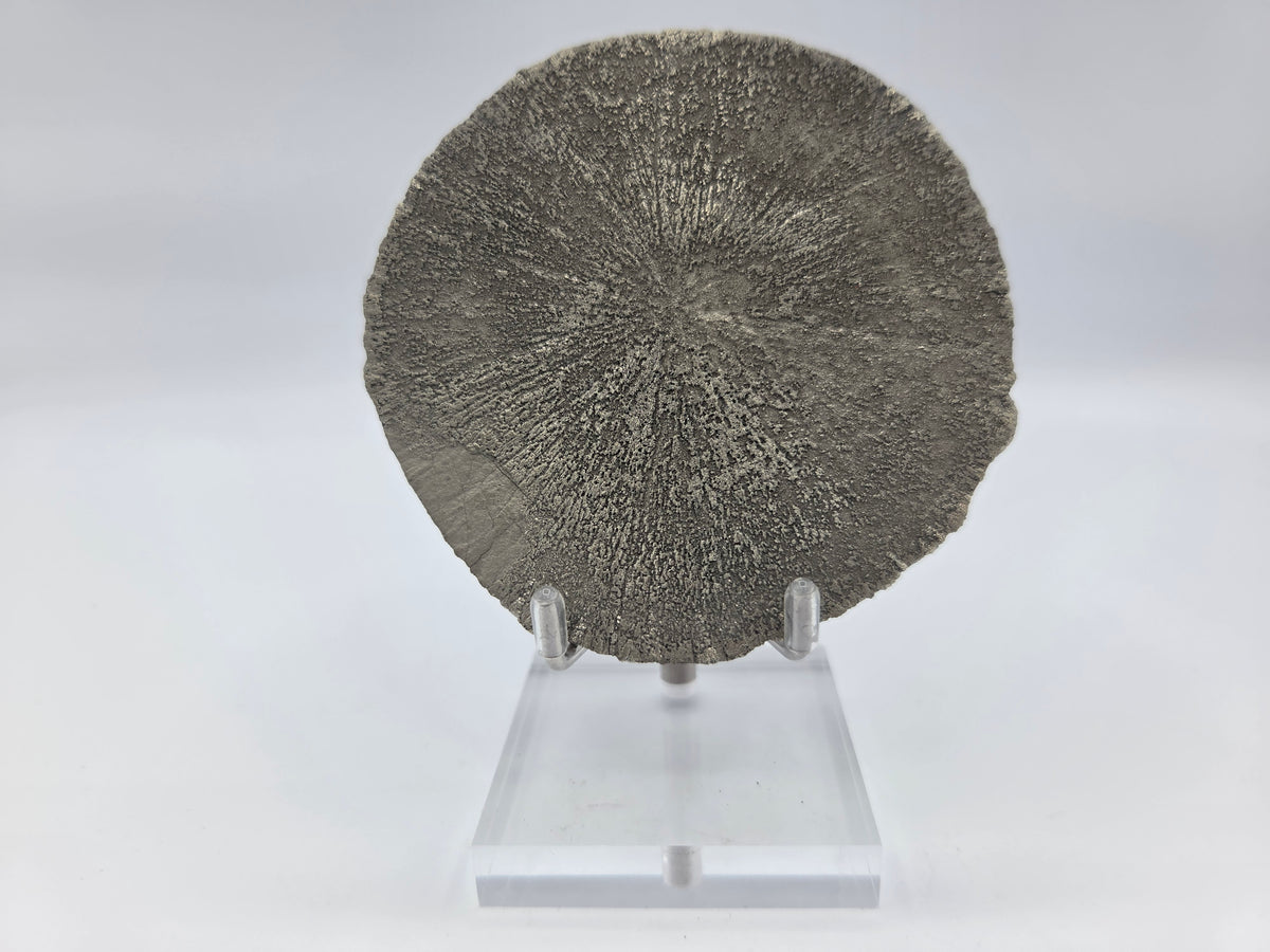 Pyrite Sundisk