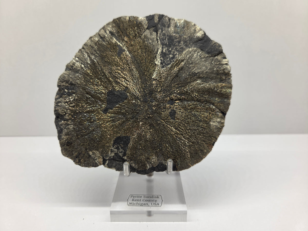 Pyrite Sundisk